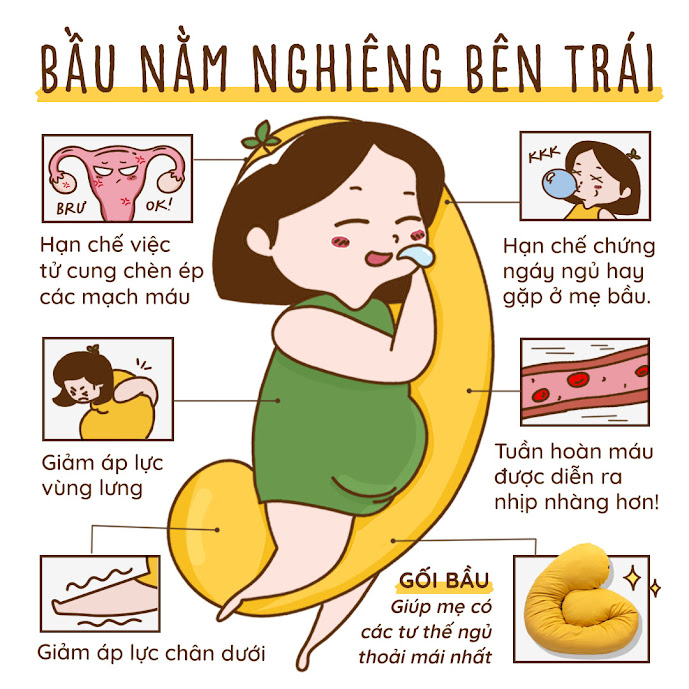 [A159] Tổng kho bán gối đa năng Bà Bầu giá siêu hấp dẫn