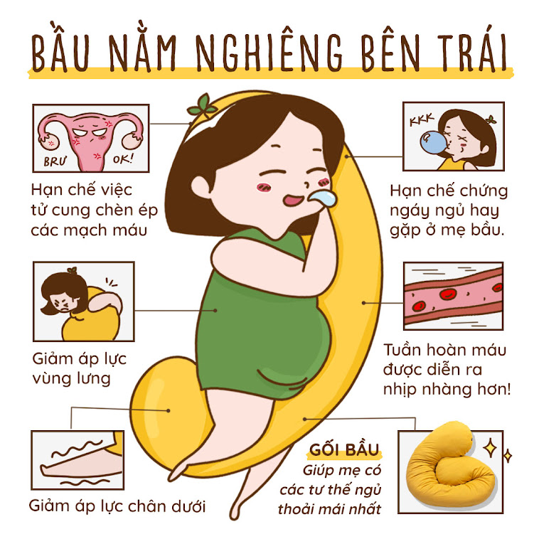 [A159] Gối bầu Đậu Khuyết bông gòn lông vũ cực tốt cho Mẹ Bầu