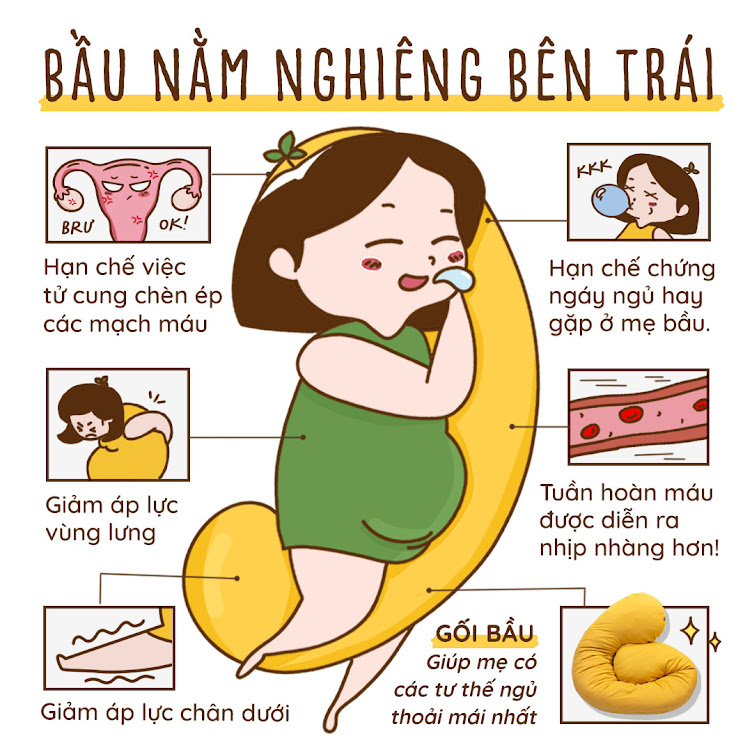 [A159] Tại sao nên sử dụng gối bầu Đậu Khuyết trong thai kỳ?