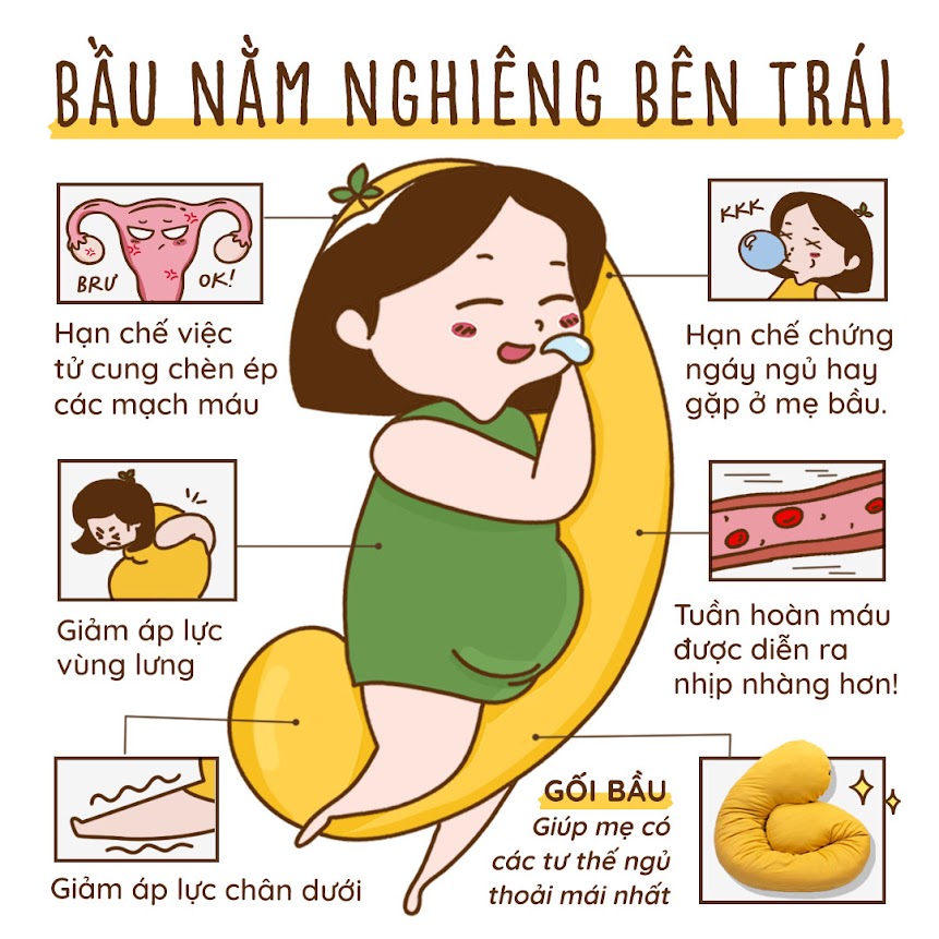 [A159] Gợi ý chọn gối Bầu Đậu Khuyết hỗ trợ tối đa trong thai kỳ