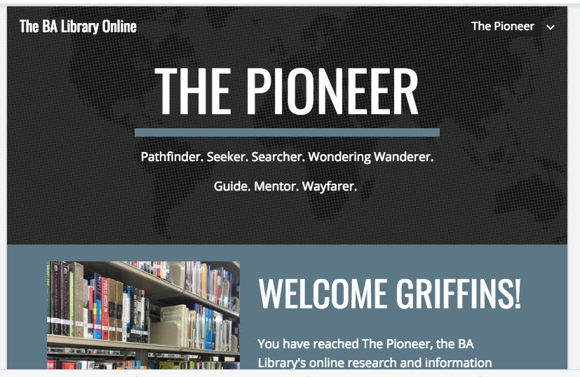 School Librarian in Action Using Google Site To Make A Library site