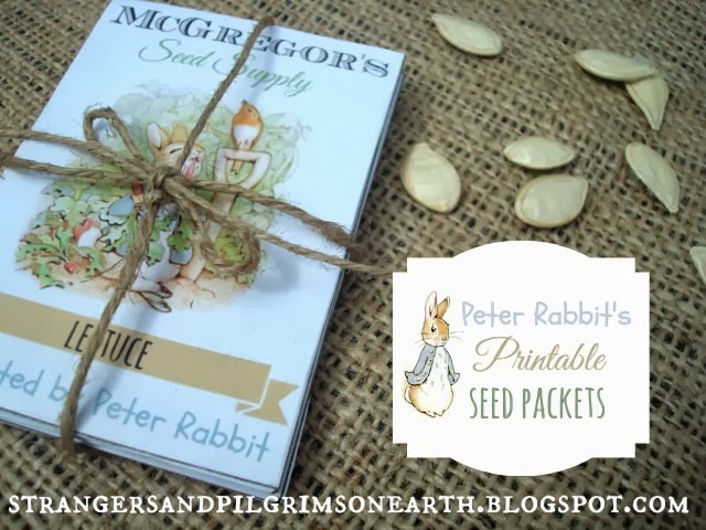 Peter Rabbit Flopsy Bunny Seed Packets Baby Shower