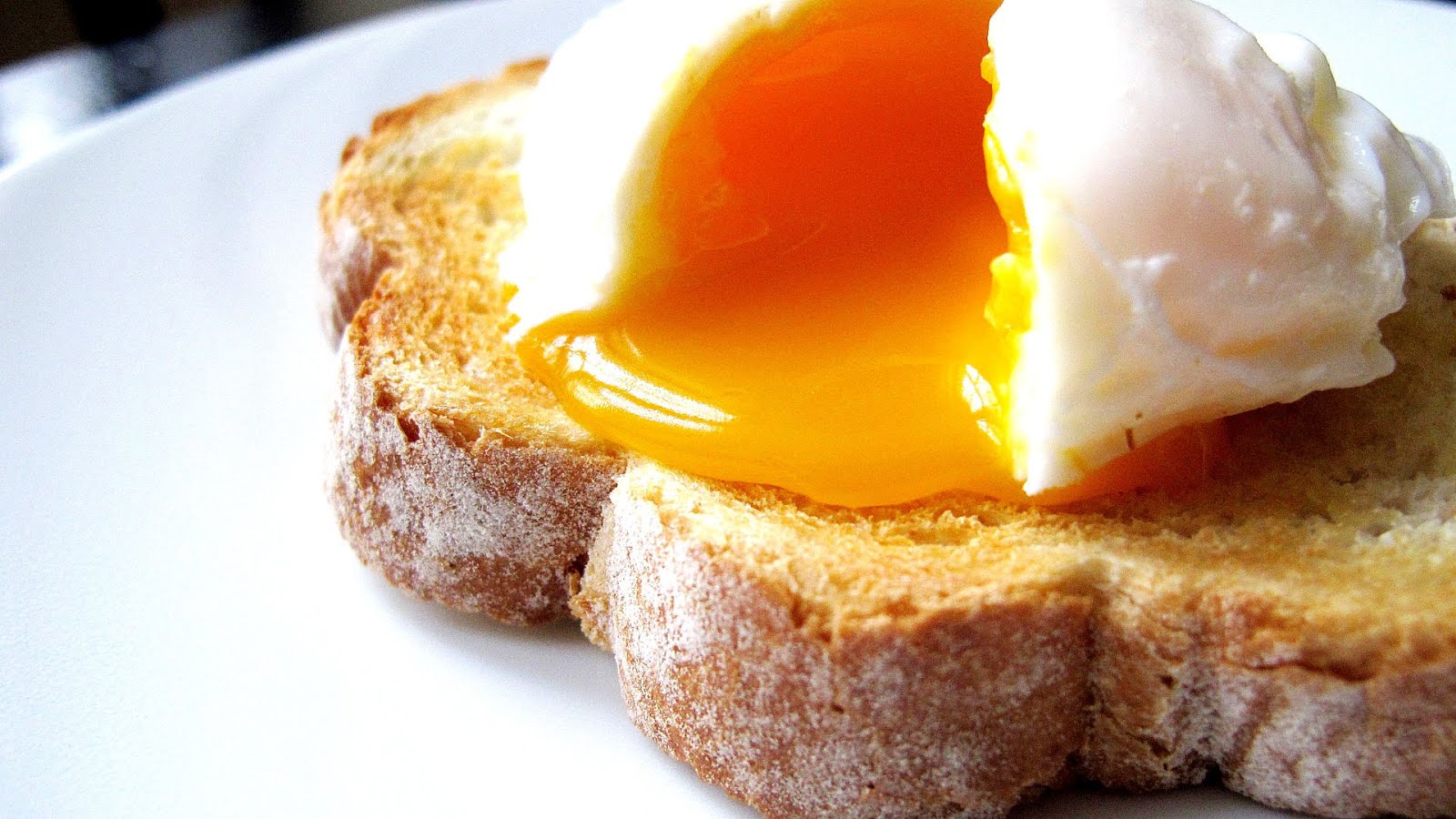 Low Cholesterol Eggs Brands Brand Choices