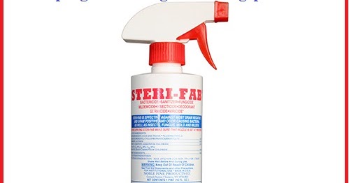 powerful bed bug spray