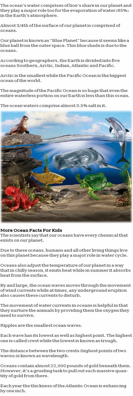 Ocean information for kids