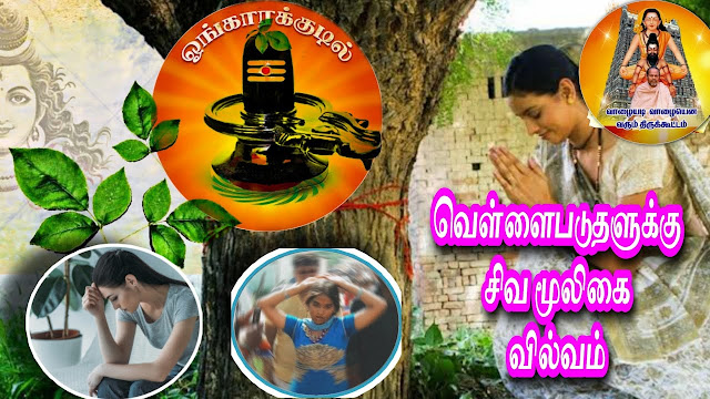 vellaipaduthal vellai paduthal treatment in tamil vellai paduthal karanam in tamil vellai paduthal tablet