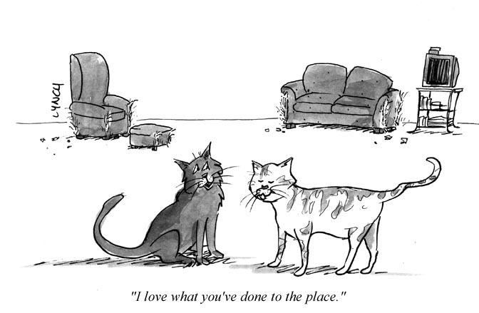 WidowSphere: A Circle of Hope: C is for Cat Cartoons