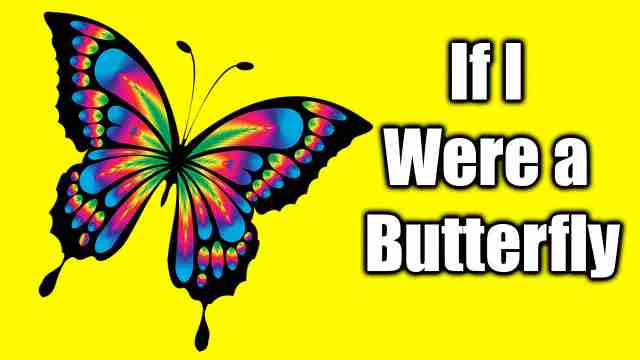 If I Were A Butterfly Essay Essay For Students if-i-were-a-butterfly-essay-essay-for-students