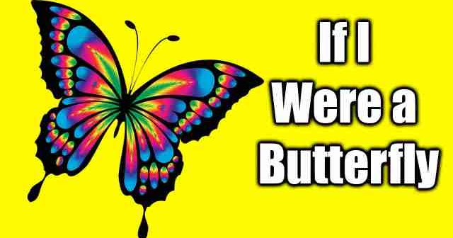 i represent myself as a butterfly essay