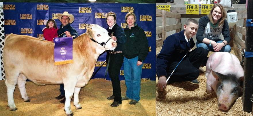 Dignified Moon Pies: FFA: A Legacy