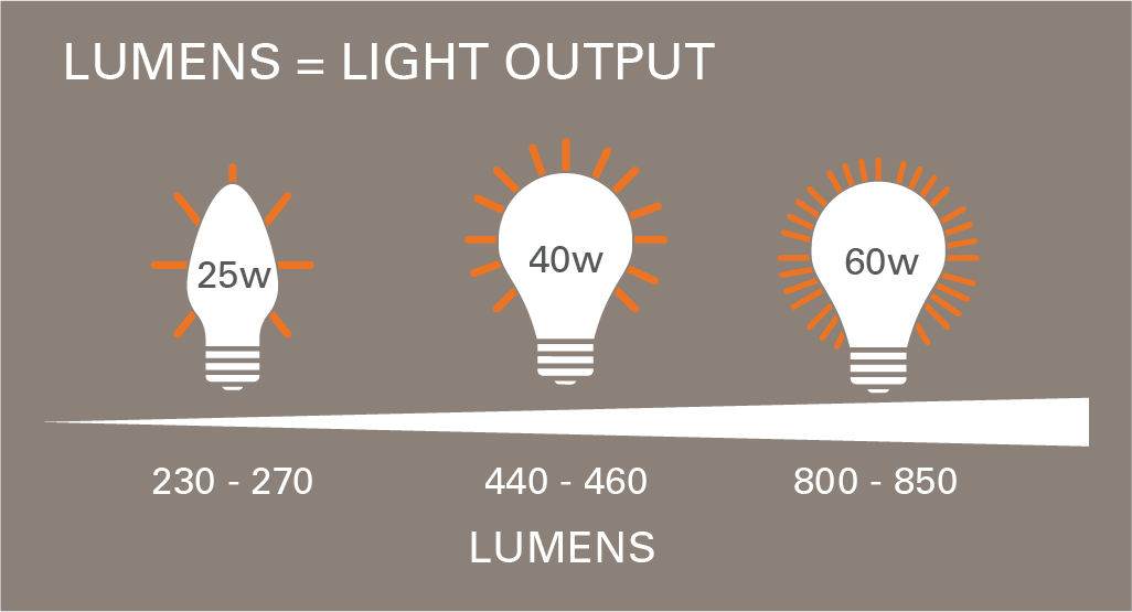Thomas Jefferson Kitts | Blog