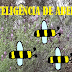Inteligência de ABELHA