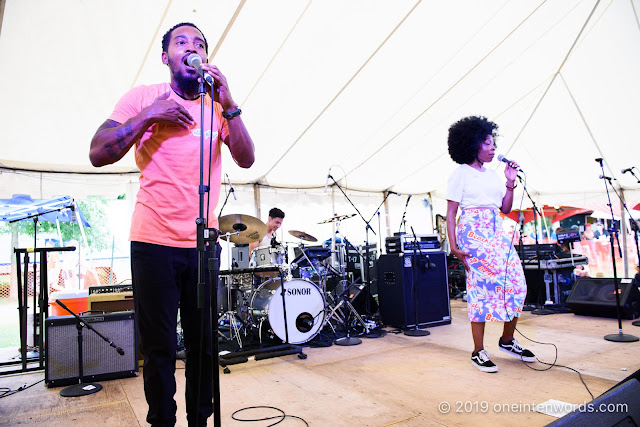 &More at Hillside Festival on Saturday, July 13, 2019 Photo by John Ordean at One In Ten Words oneintenwords.com toronto indie alternative live music blog concert photography pictures photos nikon d750 camera yyz photographer