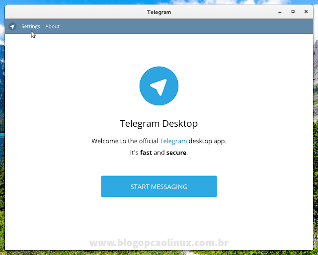 Tela inicial do Telegram após a instalação