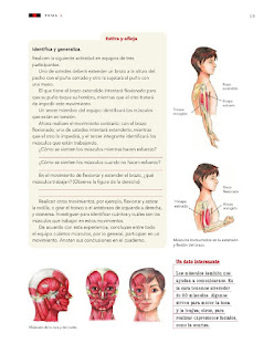 Apoyo Primaria Ciencias Naturales 3er grado Bloque I Tema 1 Movimientos del cuerpo y prevención de lesiones