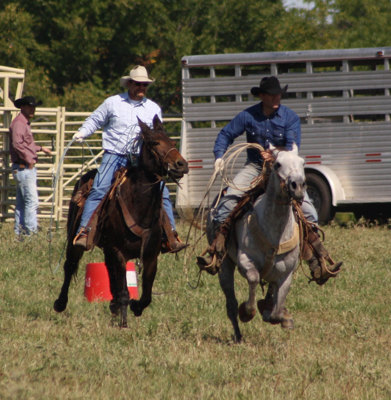 PairADice Mules: Pasture Roping Willard MO