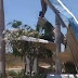 Forte ventania destrói estrutura de posto de combustível no Vale do Piancó; vídeo