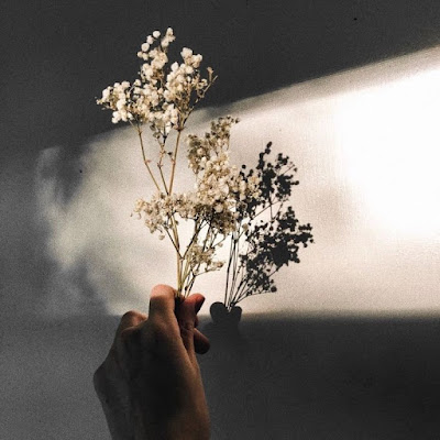 Gambar PP WA Aesthetic Keren Terbaru