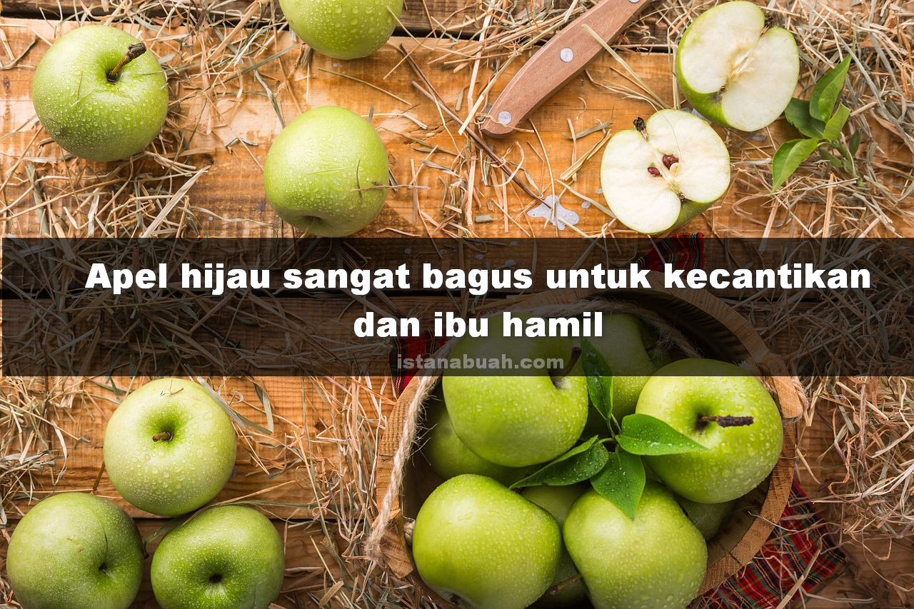 10+ Manfaat Buah Apel Hijau sangat bagus untuk kecantikan dan bumil