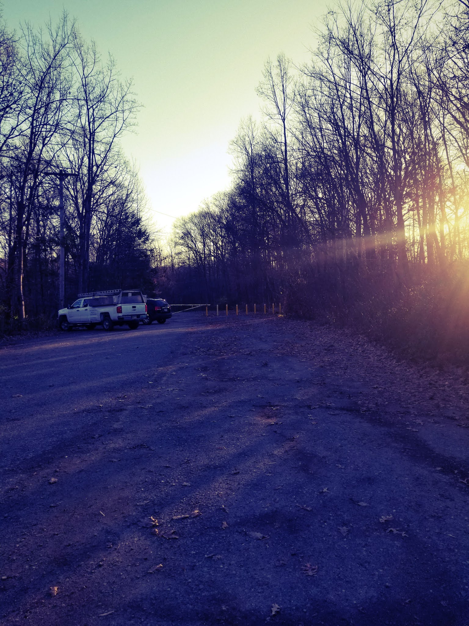 Abandoned, Roadside and Historic Jungle Habitat (Abandoned) West Milford, NJ