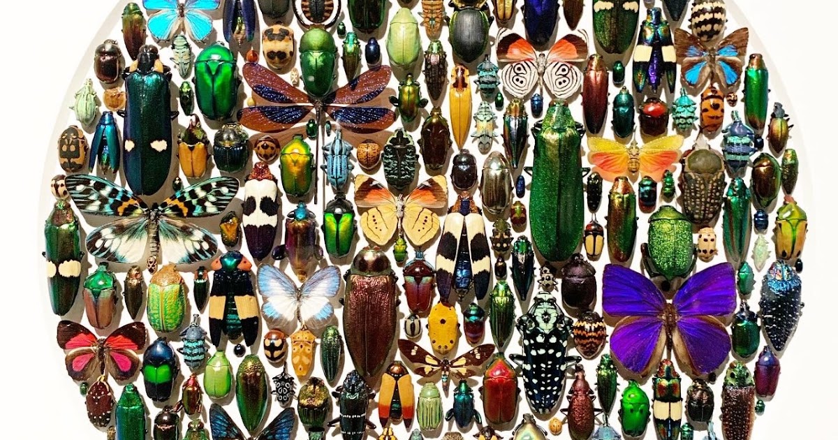 Daily Bread Exquisite Creatures