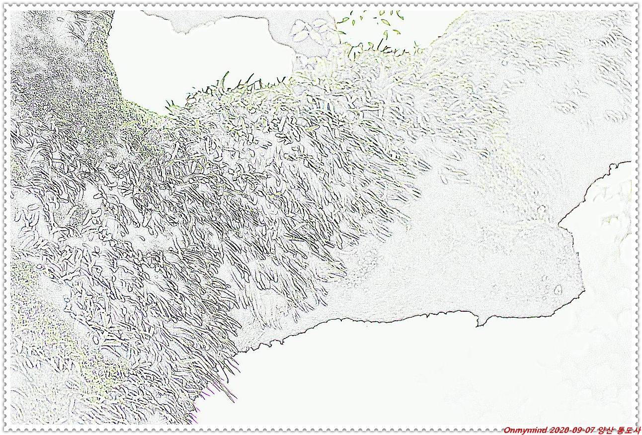 양산 통도사 양산 통도사
