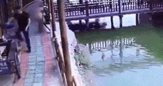 m3.gif