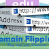 Domain Flipping Business