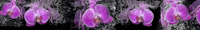  Фиолетовые орхидеи в воде скинали