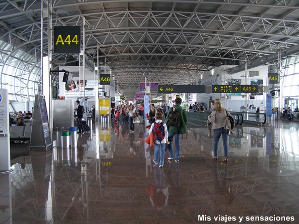 Aeropuerto de Bruselas, Bélgica