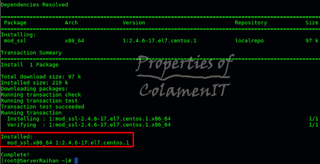 Which: command not found. Package resolved. Pam nss это. Centos подключенные устройства. Dns сервер bind настройка.