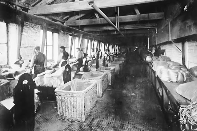 Sorting Shop, Cleator Flax Mill, C1900 Sorting Shop, Cleator Flax Mill, C1900