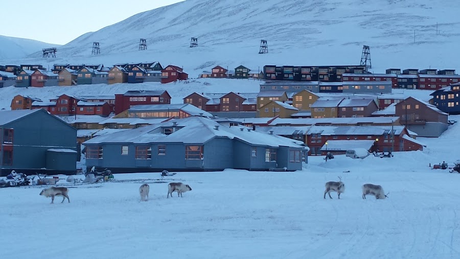 casas-construcciones-tipicas-longyearbyen-svalbard-enlacima
