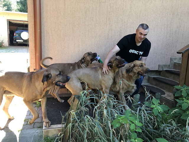 Lapsuuden muistot johdattivat meidät Broumovin kaupunkiin, Tsekin tasavaltaan 7 Lapsuuden muistot johdattivat meidät Broumovin kaupunkiin, Tsekin tasavaltaan 6