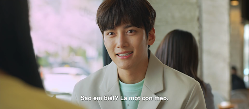 Cửa Hàng Tiện Lợi Saetbyul