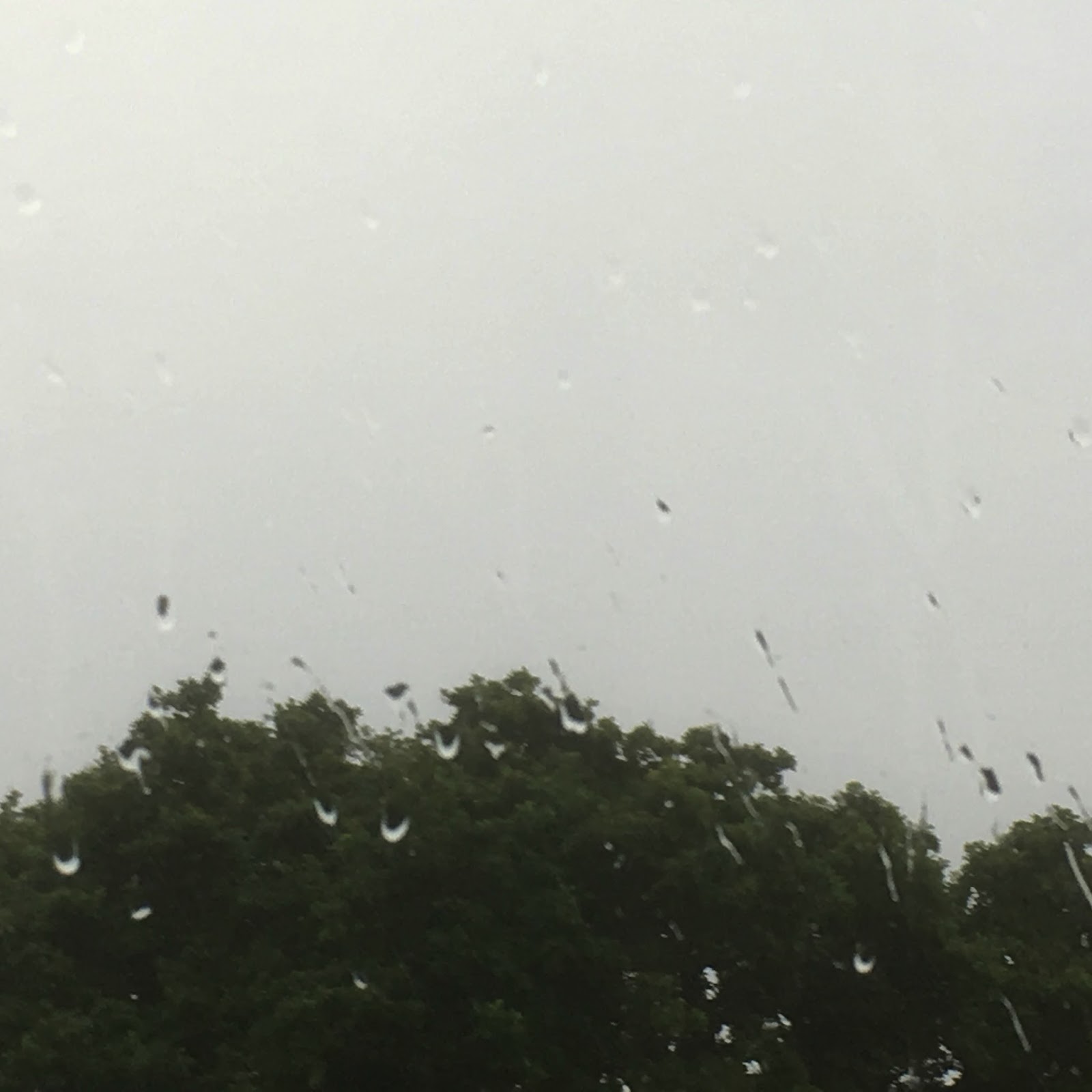 Julie Gittoes The smell of rain