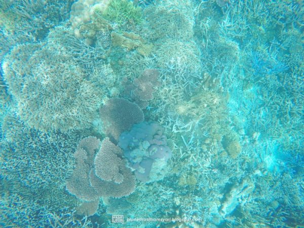 Pengalaman Discover Scuba Diving (DSD) Di Pulau Mataking, Semporna,Sabah