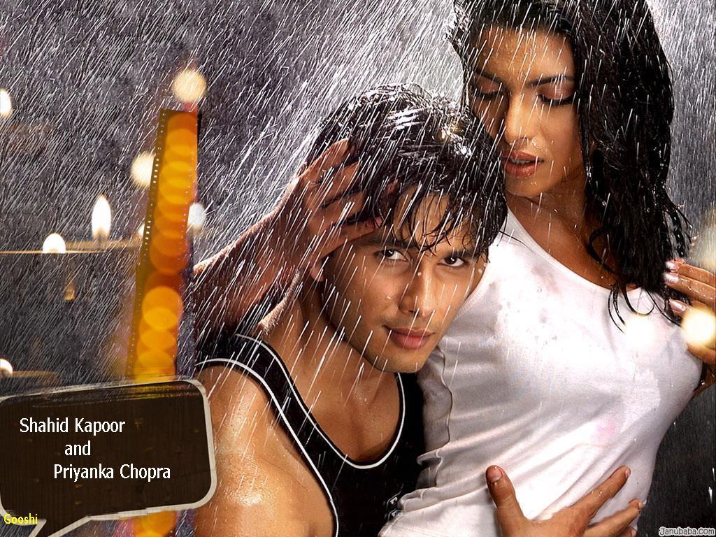 Shahid-Priyanka rekindling their relationship ~ Bollywood Leak