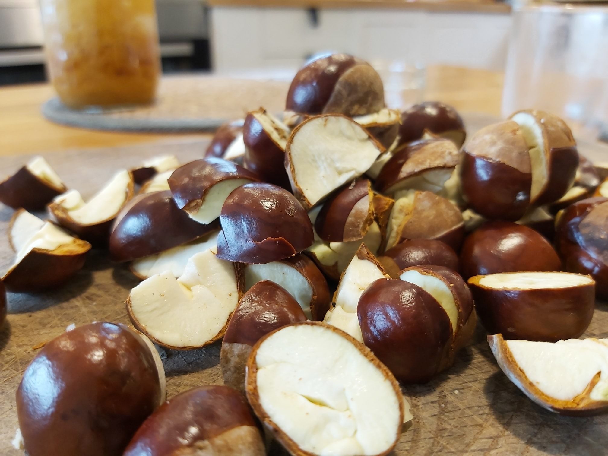 An English Homestead Horse Chestnut Soap? Part One...