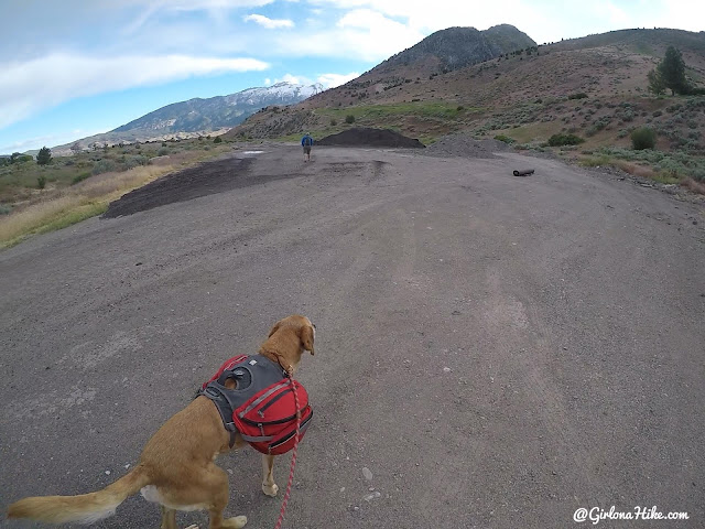 Hiking Mahogany Mountain, Utah county, utah peak baggers, hiking in utah with dogs, Utah's best peaks