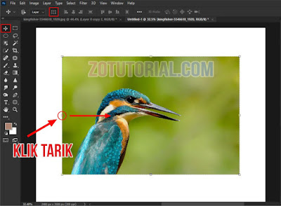 4 Cara Membalikan Gambar di Photoshop Flip atau Mirror Image