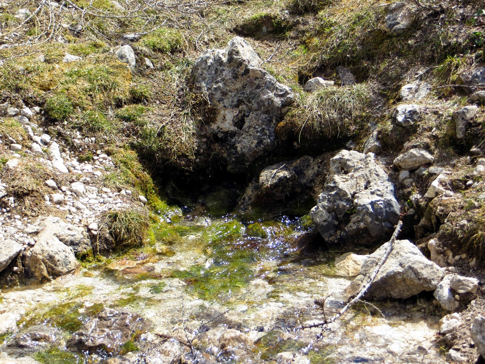 trekking cristo pensante e val venegia