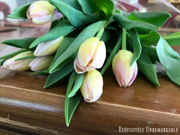 Pink And Yellow Tulips