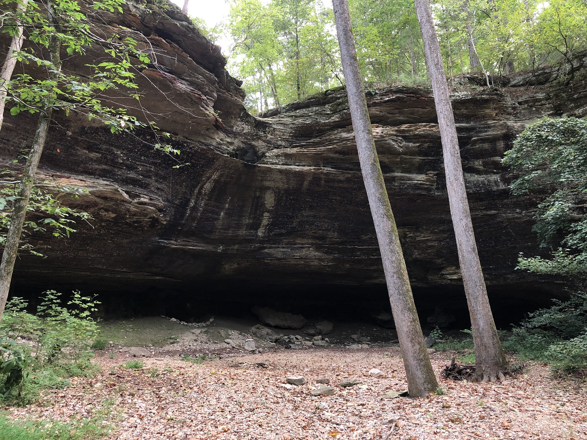 Tea Kettle Falls Trail, Huntsville, Arkansas