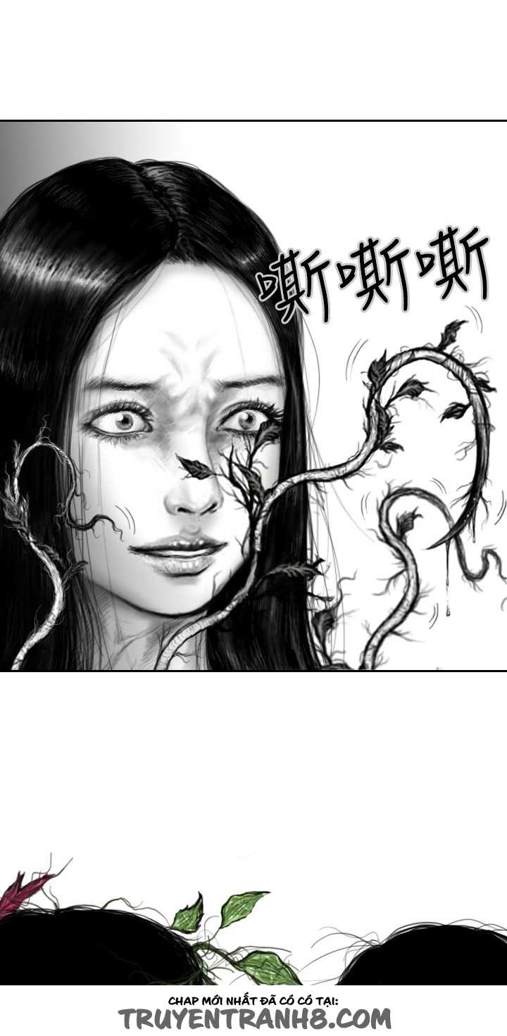 Hạt Giống Mỹ Nhân chap 20 - Trang 10