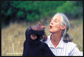 https://news.wjct.org/post/we-are-part-animal-kingdom-renowned-primatologist-dr-jane-goodall-speaks-south-florida