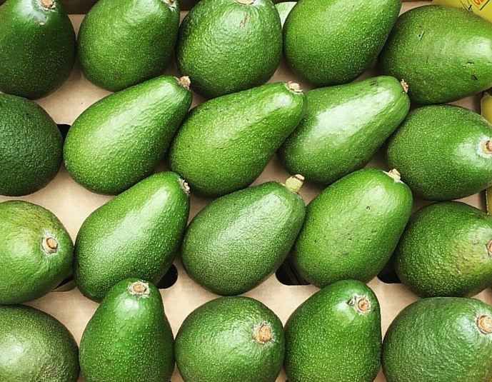 The 10 Foods That Lower Blood Sugar Level WellnessKatie