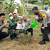 Hadiri Deklarasi Stof Illegal Logging, Dandim 0824/Jember Ajak Masyarakat Selamatkan Hutan Untuk Anak Cucu