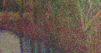 Edith Schumacher Reinhard