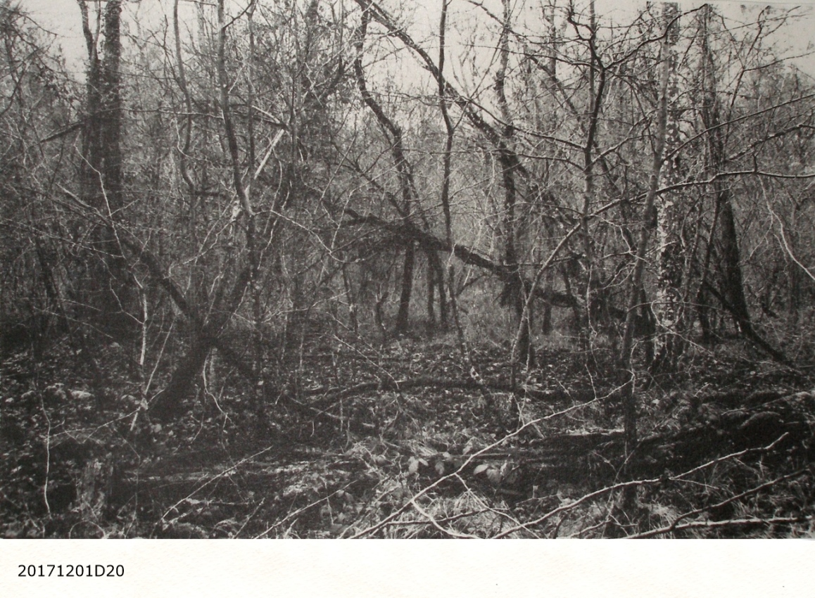 Exposed Papiers Kentmere Art